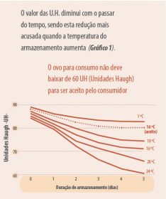 A Qualidade Do Ovo Em Foco Qualidade Interna