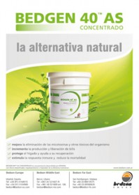 Imagen Revista Bedson // Bedgen 40 AS, la alternativa natural