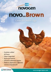 Imagen Revista Novogen // Novogen Brown, la mejor genética para ponedoras