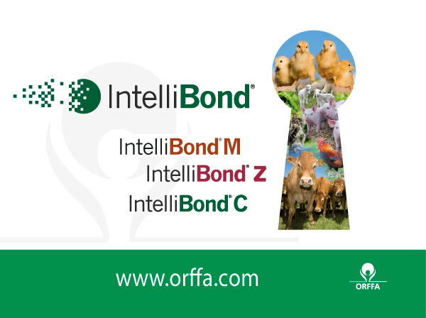 IntelliBond