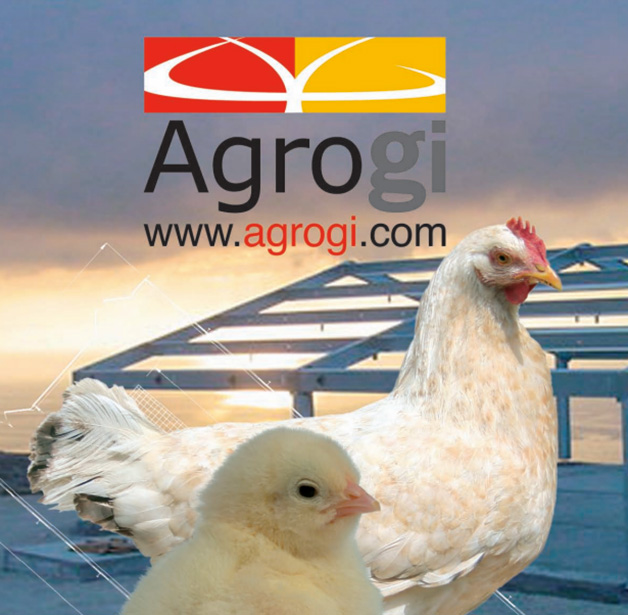 Especializados en la construcción de granjas avícolas de alto rendimiento -  aviNews, la revista global de avicultura