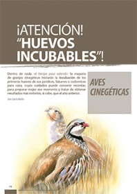 Imagen Revista ¡Atención! “Huevos incubables”