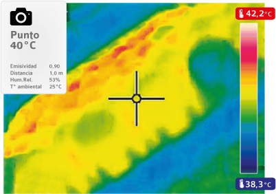 termografias-incubacion-3