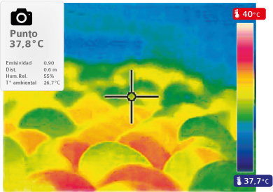 termografias-incubacion-4