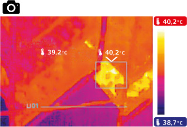 termografias-incubacion-5