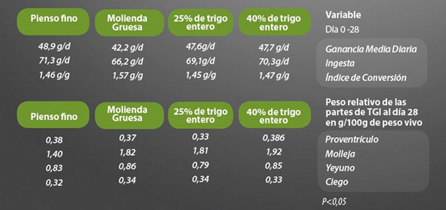 grafica-molienda-gruesa-nutricion-animal