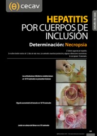 Imagen Revista Hepatitis por cuerpos de inclusión en broilers