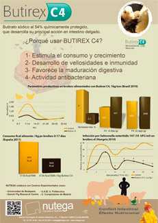 Nutega // Butirex C4, confort intestinal