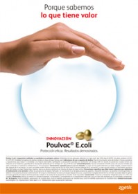 Imagen Revista Zoetis // Poulvac E.coli, protección eficaz