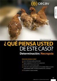 Imagen Revista ¿Qué piensa usted de este caso?