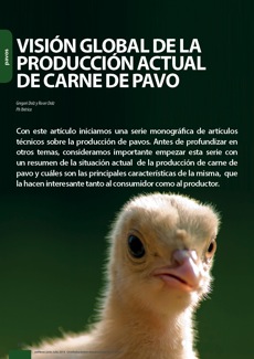 Visión global de la producción actual de carne de pavo