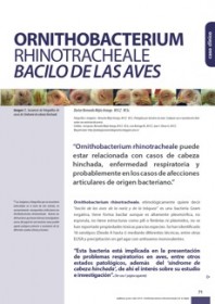 Imagen Revista Ornithobacterium rhinotracheale, el bacilo de las aves