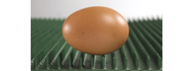 Mejora de la eficiencia en la producción integrada: Huevos incubables – Pollos de engorde