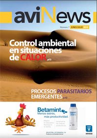 AviNews International June 2025