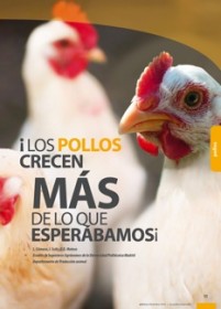 Imagen Revista ¡Los pollos crecen más de lo que esperábamos!