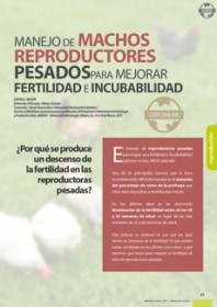 Imagen Revista Manejo de machos reproductores pesados para mejorar fertilidad e incubabilidad