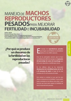 Manejo de machos reproductores pesados para mejorar fertilidad e incubabilidad