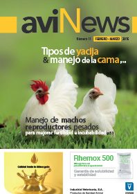 AviNews International June 2025