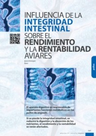 Imagen Revista Influencia de la integridad intestinal sobre el rendimiento y rentabilidad aviares