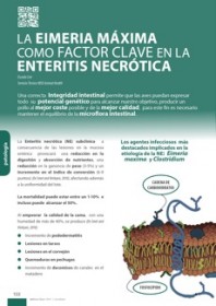 Imagen Revista La eimeria máxima como factor clave en la enteritis necrótica