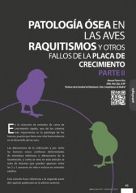 Imagen Revista Patología ósea en las aves raquitismos y otros fallos de la placa de crecimiento PARTE II