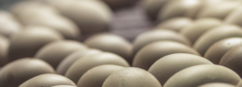 External Egg quality characteristics in the spotlight