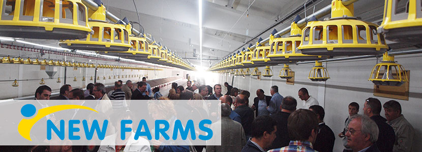 Inauguración granja reproductoras con equipos de NewFarms