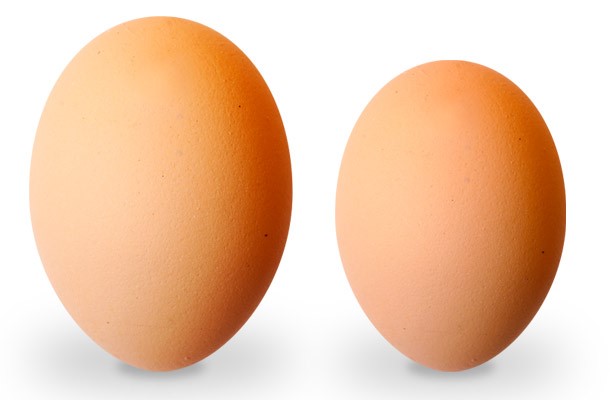 ¿Es necesario un planteamiento para la incubación de los huevos grandes?