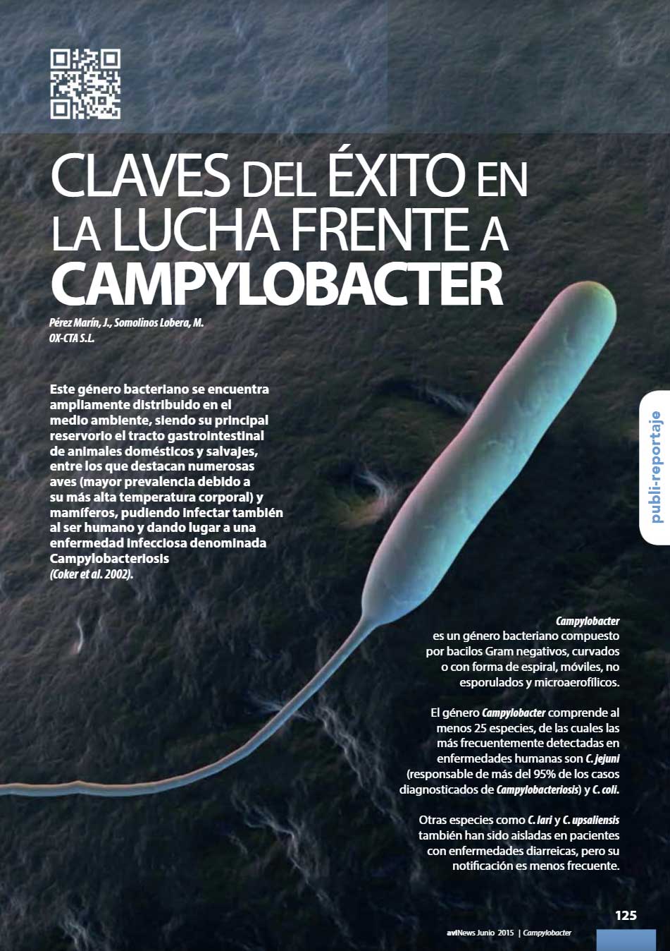 Claves del éxito en la lucha frente al Campylobacter