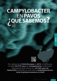 Imagen Revista Campylobacter en pavos ¿qué sabemos?