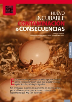 Huevo incubable: Contaminación y consecuencias