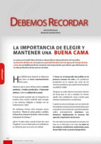 Imagen Revista La importancia de elegir y mantener una buena cama