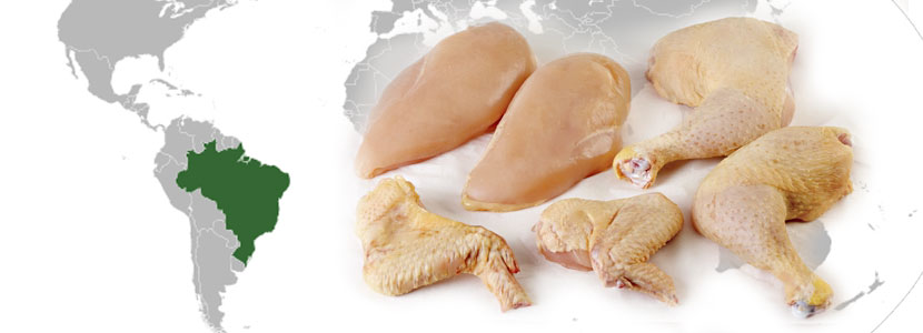 Mongolia abre su mercado para el pollo brasileño