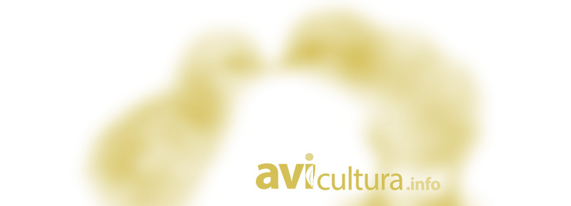 avicultura