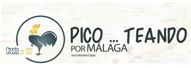 Imagen Revista Picoteando en ruta por Málaga