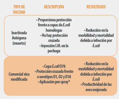 colibacilosis-tabla