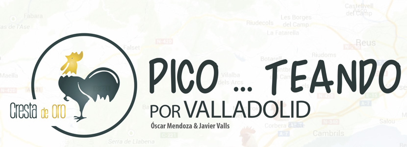 Picoteando en ruta: Valladolid