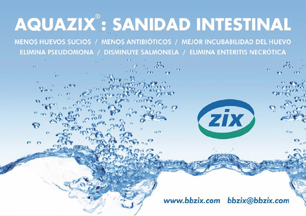 bbzix