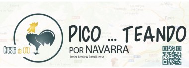 Imagen Revista Picoteando por Navarra