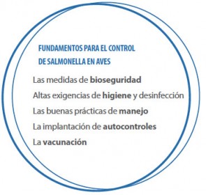 elanco-salmonella-vacunas