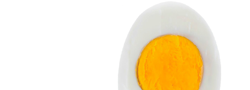 El éxito de la producción de huevos sin antibióticos