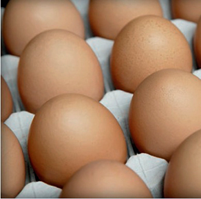 huevos-sin-antibioticos