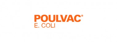 poulvac-coli