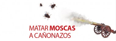 Imagen Revista Matar moscas a cañonazos