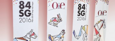 Imagen Revista 84ª Asamblea general de la OIE