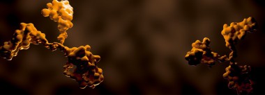 Imagen Revista Uso & aplicación de líneas base en serología ELISA