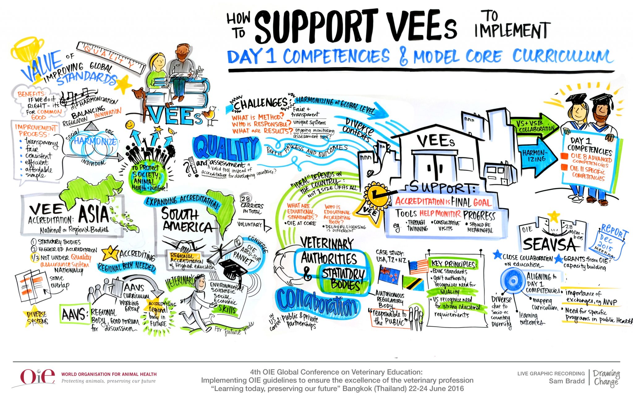 Supporting-VEEs-to-Implement-Change-WEB