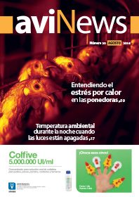 AviNews International June 2025