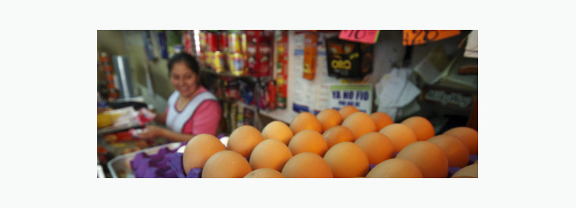 Colombia: 1.600.000 huevos menos que en el primer trimestre de...