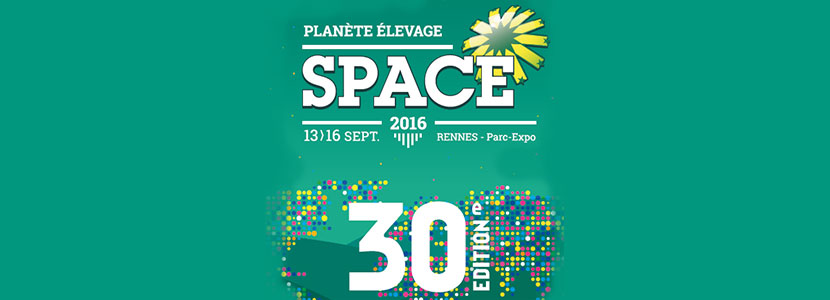 Descárgate el programa completo de la SPACE